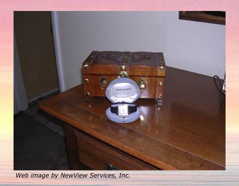 Documenting – Standard Watch Mv02 – crop Common watch image